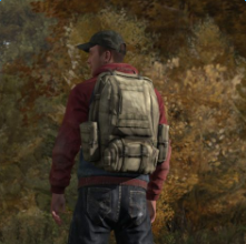 dayz