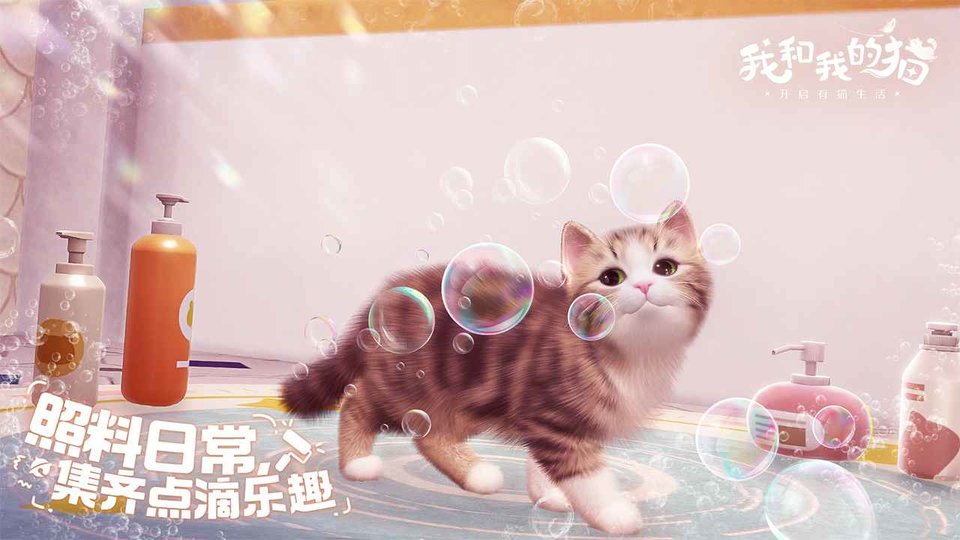 我和我的猫游戏截图