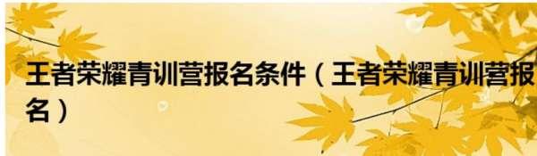 和平精英青训营报名条件#王者荣耀职业青训标准