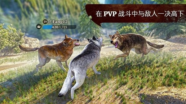 狼族游戏最新版本(The Wolf)下载游戏截图