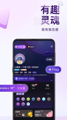 Flag游戏截图